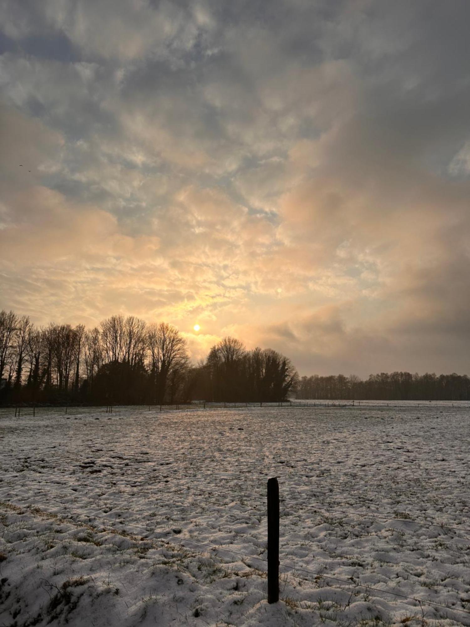 Herberg Sellingen Exteriér fotografie